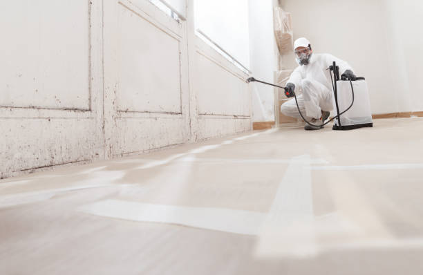 24/7 Emergency Commercial Mold Remediation experts in Suitland, MD